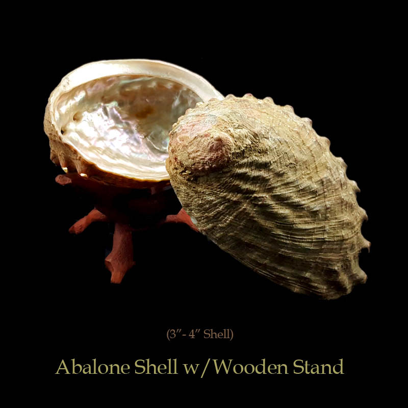 Abalone Shells With Wooden Stands For Incense Smudging, Burning Rituals, Offering Bowls