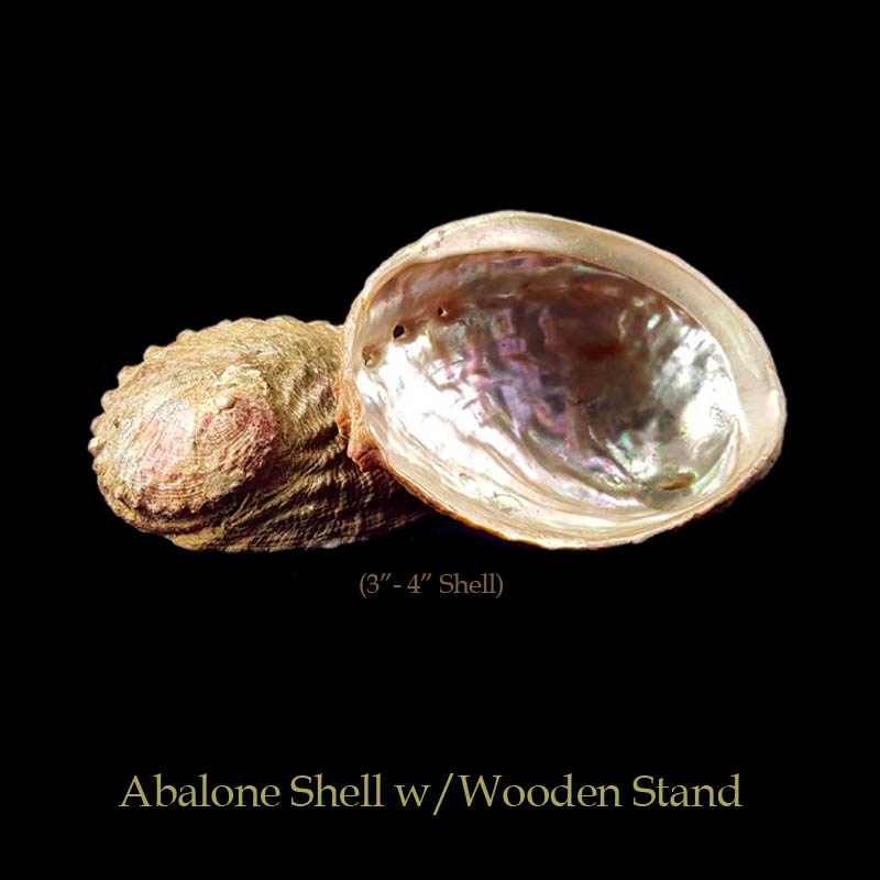Abalone Shells With Wooden Stands For Incense Smudging, Burning Rituals, Offering Bowls