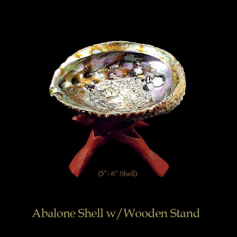 Large Abalone Shells With Wooden Stands For Charcoal Incense Burning, Smudging Rituals, Offerings Bowls